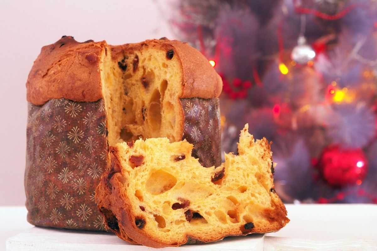 Panettone