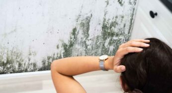 Apro spesso le finestre ma ogni tanto ritorna la muffa, da cosa dipende?