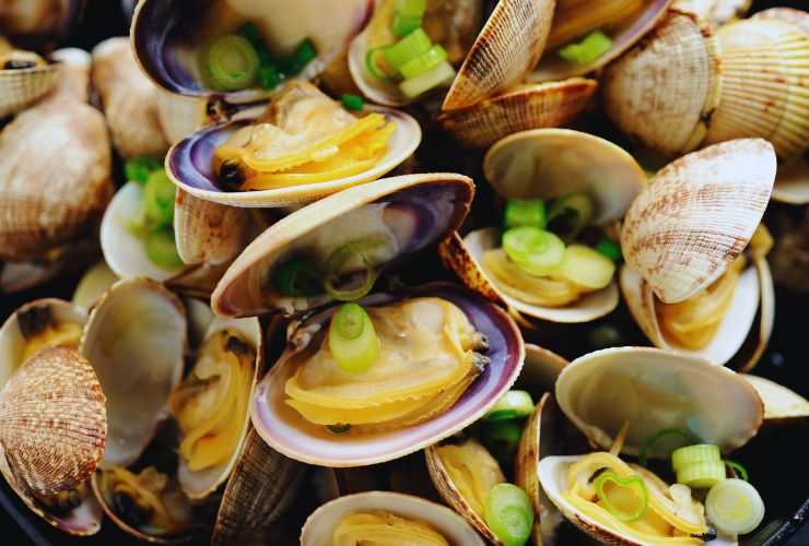 vongole